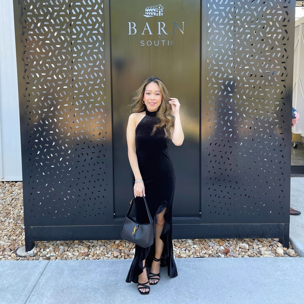 Velvet Dress
